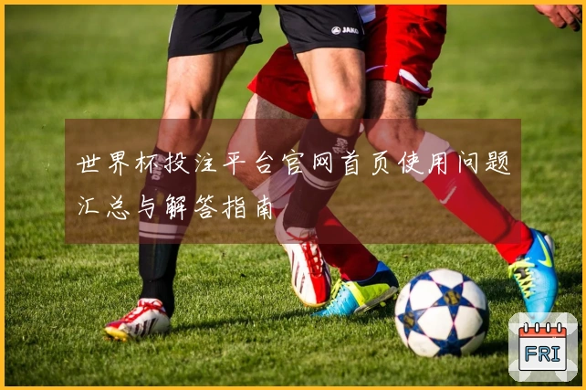 世界杯投注平台官网首页使用问题汇总与解答指南