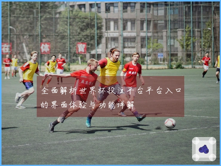 全面解析世界杯投注平台平台入口的界面体验与功能详解