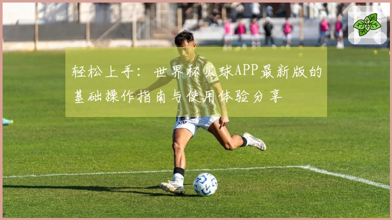 轻松上手：世界杯买球APP最新版的基础操作指南与使用体验分享