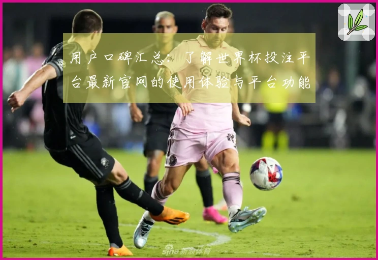 用户口碑汇总：了解世界杯投注平台最新官网的使用体验与平台功能分析