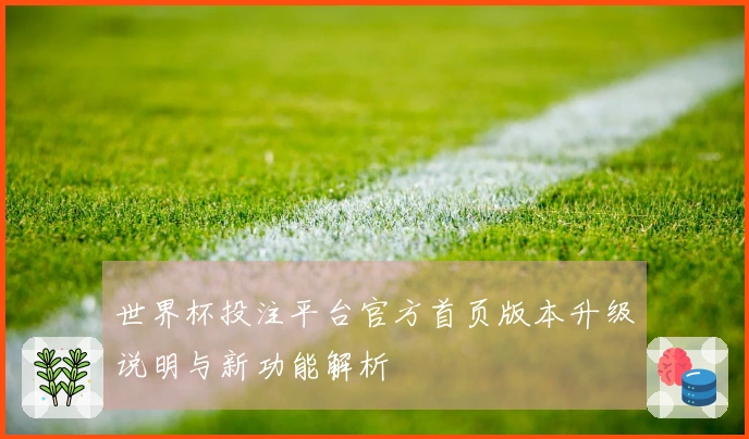 世界杯投注平台官方首页版本升级说明与新功能解析