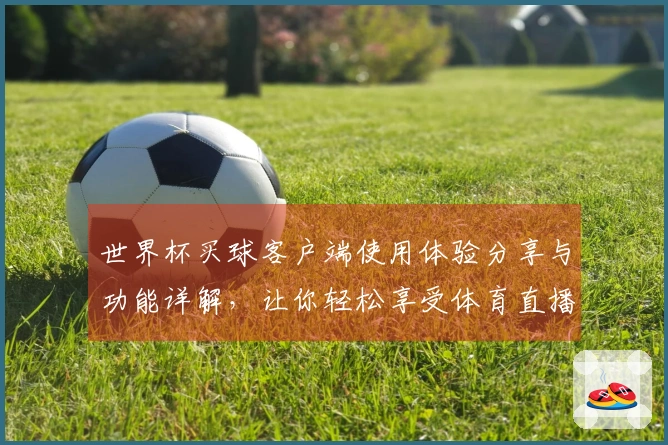 世界杯买球客户端使用体验分享与功能详解，让你轻松享受体育直播乐趣