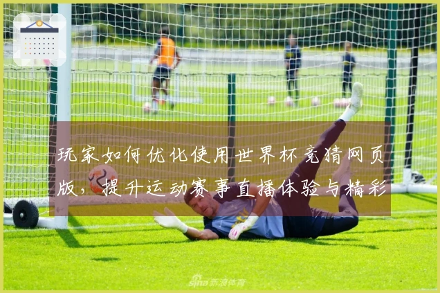 玩家如何优化使用世界杯竞猜网页版，提升运动赛事直播体验与精彩评测