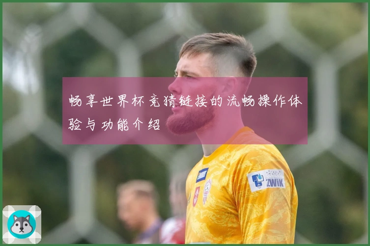 畅享世界杯竞猜链接的流畅操作体验与功能介绍