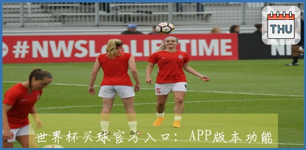 世界杯买球官方入口：APP版本功能详解与使用体验分享