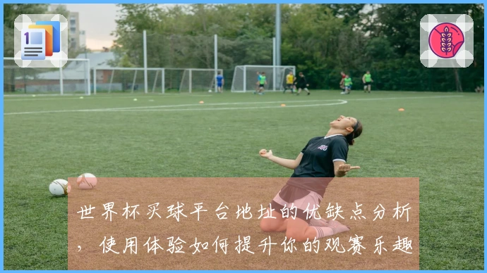 世界杯买球平台地址的优缺点分析，使用体验如何提升你的观赛乐趣？