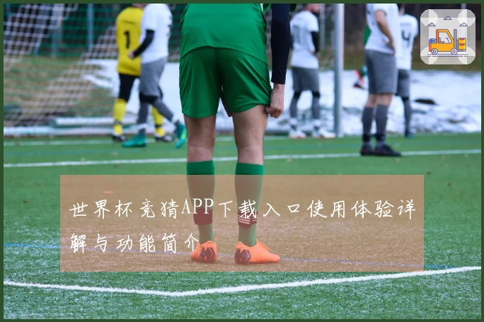 世界杯竞猜APP下载入口使用体验详解与功能简介
