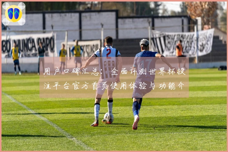 用户口碑汇总：全面评测世界杯投注平台官方首页使用体验与功能介绍