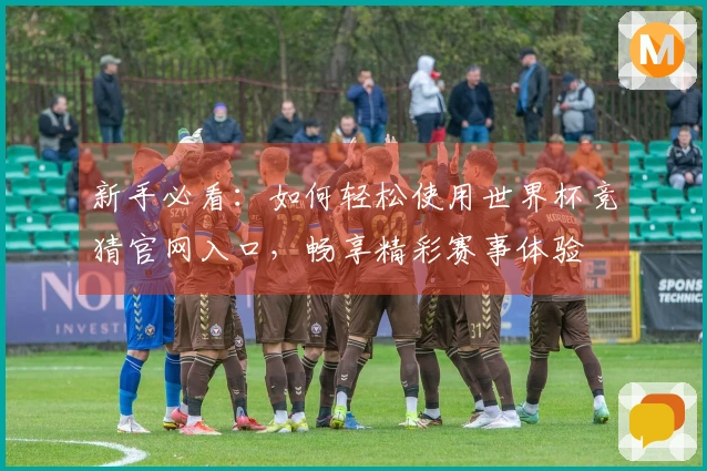 新手必看：如何轻松使用世界杯竞猜官网入口，畅享精彩赛事体验