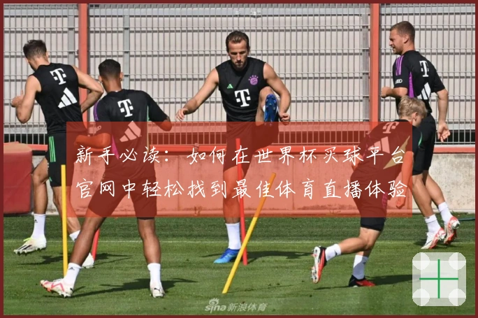 新手必读：如何在世界杯买球平台官网中轻松找到最佳体育直播体验