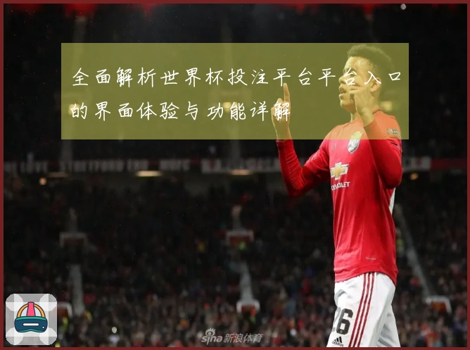 全面解析世界杯投注平台平台入口的界面体验与功能详解