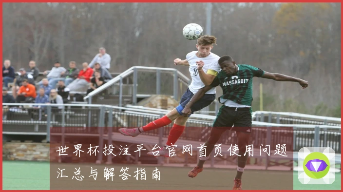 世界杯投注平台官网首页使用问题汇总与解答指南